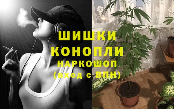 каннабис Алексин