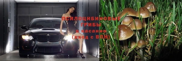 мескалин Алексеевка