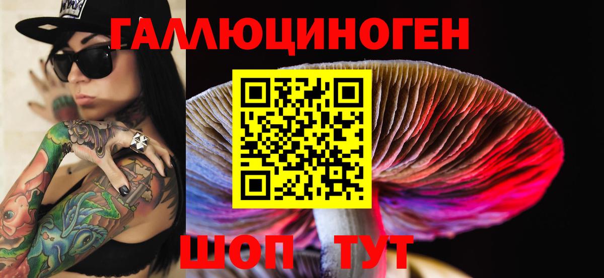 Псилоцибиновые грибы Cubensis  где можно купить   Менделеевск  Вход с VPN  Галлюциногенные грибы Psilocybine cubensis 