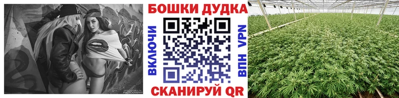 мега ссылка  Менделеевск  Бошки марихуана THC 21%  закладки 